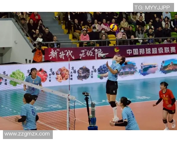 深圳排球队配合变革引发热议新战术助力球队崛起